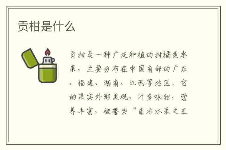 贡柑是什么(贡柑是什么水果)